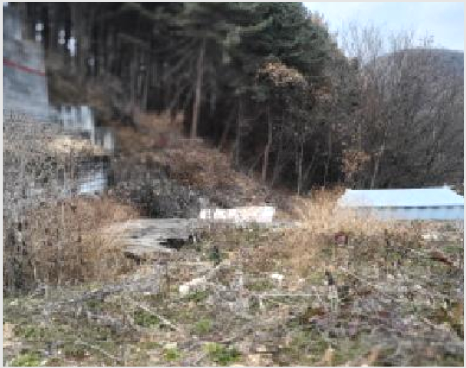 ÅäÁö(ÀÓ¾ß) »çÁø1 | ÆÄÁֽà ¹ý¿øÀ¾ µ¿¹®¸® | 2025Ÿ°æ6451 | ÅäÁö(ÀÓ¾ß)°æ¸Å