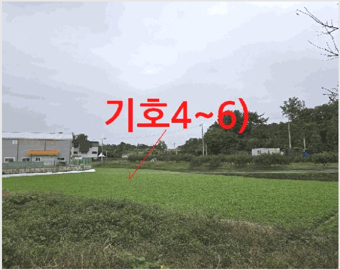 ÅäÁö(´ä) »çÁø1 | ÀüÁֽà ¿Ï»ê±¸ »ó¸²µ¿ | 2025Ÿ°æ970 | ÅäÁö(´ä)°æ¸Å