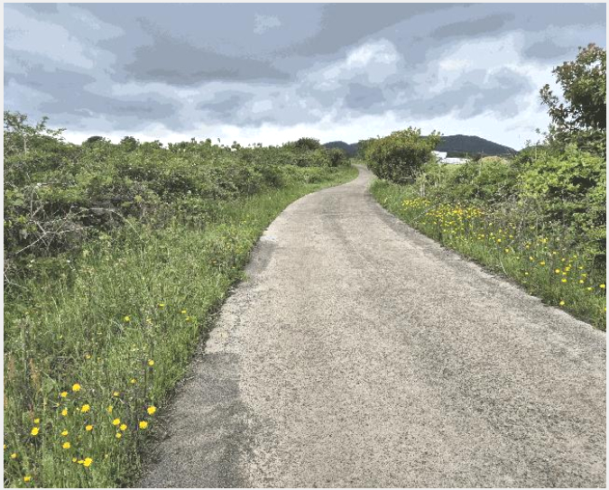ÅäÁö(ÀÓ¾ß) »çÁø1 | ¼±ÍÆ÷½Ã ¼º»êÀ¾ ³»ê¸® | 2025Ÿ°æ8022 | ÅäÁö(ÀÓ¾ß)°æ¸Å