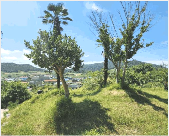 °øÀå,â°í »çÁø1 | ½Å¾È±º ÀÓÀÚ¸é µµÂù¸® | 2024Ÿ°æ3269 | °øÀå,â°í°æ¸Å