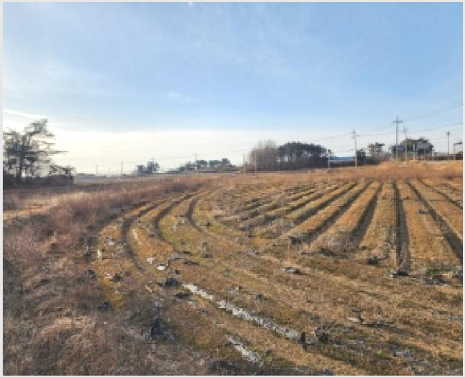 ÅäÁö(´ä) »çÁø1 | ±èÁ¦½Ã ¼º´ö¸é ¼®µ¿¸® | 2026Ÿ°æ30047 | ÅäÁö(´ä)°æ¸Å