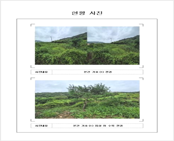 ÅäÁö(´ä) »çÁø1 | ¿µ¾Ï±º Çлê¸é µ¶Ãµ¸® | 2024Ÿ°æ54496 | ÅäÁö(´ä)°æ¸Å