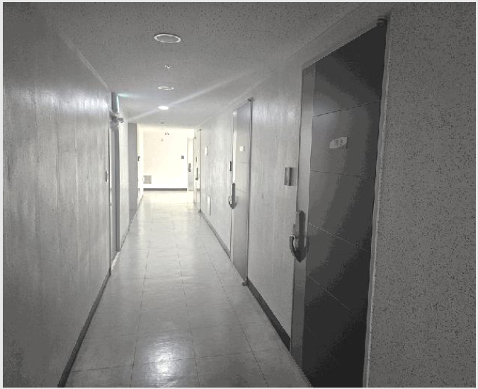 ¿ÀÇǽºÅÚ »çÁø1 | µ¿±¸ ±Ýµ¿ 19-3 | 2025Ÿ°æ8145 | ¿ÀÇǽºÅÚ°æ¸Å