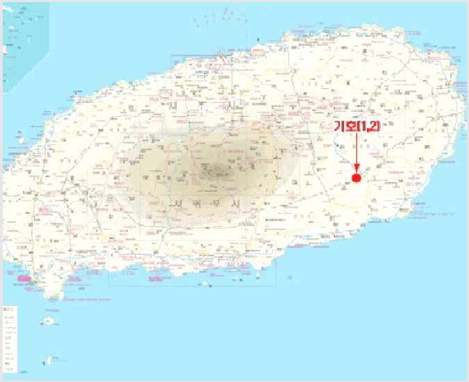 ÅäÁö(ÀÓ¾ß) »çÁø1 | ¼±ÍÆ÷½Ã Ç¥¼±¸é °¡½Ã¸® | 2025Ÿ°æ1518 | ÅäÁö(ÀÓ¾ß)°æ¸Å