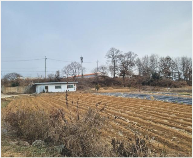 ÅäÁö(Àü) »çÁø1 | ȼº½Ã Àå¾È¸é ³ëÁø¸® | 2024Ÿ°æ103051 | ÅäÁö(Àü)°æ¸Å