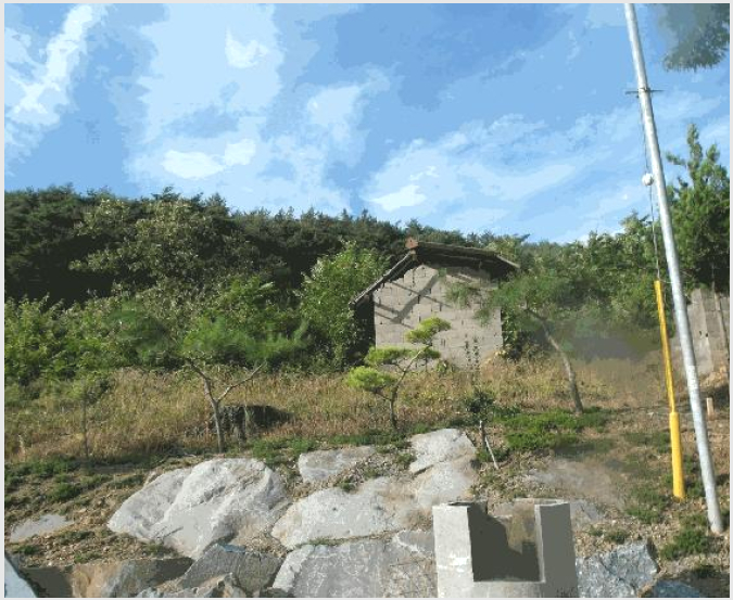 ÅäÁö(ÀÓ¾ß) »çÁø1 | ºÎ¿©±º ¿Ü»ê¸é °¥»ê¸® | 2025Ÿ°æ20397 | ÅäÁö(ÀÓ¾ß)°æ¸Å