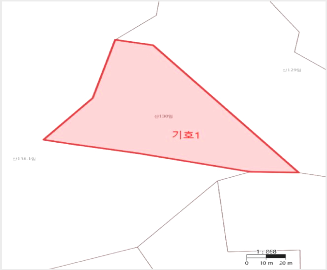 ÅäÁö(ÀÓ¾ß) »çÁø1 | °íÈﱺ ³²¾ç¸é ¸ÁÁÖ¸® | 2025Ÿ°æ52138 | ÅäÁö(ÀÓ¾ß)°æ¸Å