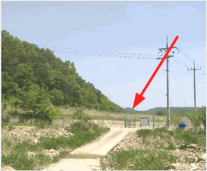 ÅäÁö(´ä) »çÁø1 | ¿µµ¿±º Çлê¸é Áö³»¸® | 2025Ÿ°æ73 | ÅäÁö(´ä)°æ¸Å