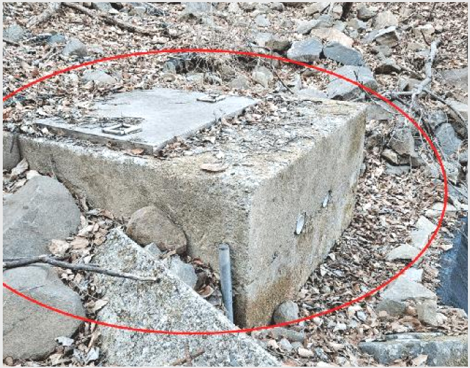ÅäÁö(°ú¼ö¿ø) »çÁø1 | ÇԾȱº ¿©Ç׸é ÁÖ¼¸® | 2025Ÿ°æ20353 | ÅäÁö(°ú¼ö¿ø)°æ¸Å