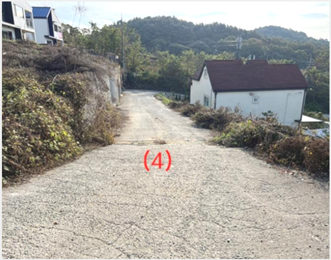 ÅäÁö(ÀÓ¾ß) »çÁø1 | ¾çÆò±º ¿ë¹®¸é ´Ù¹®¸® | 2023Ÿ°æ4634 | ÅäÁö(ÀÓ¾ß)°æ¸Å