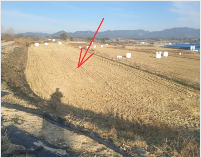 ÅäÁö(´ä) »çÁø1 | ÀǼº±º ´ÙÀÎ¸é °¡¿ø¸® | 2024Ÿ°æ12090 | ÅäÁö(´ä)°æ¸Å