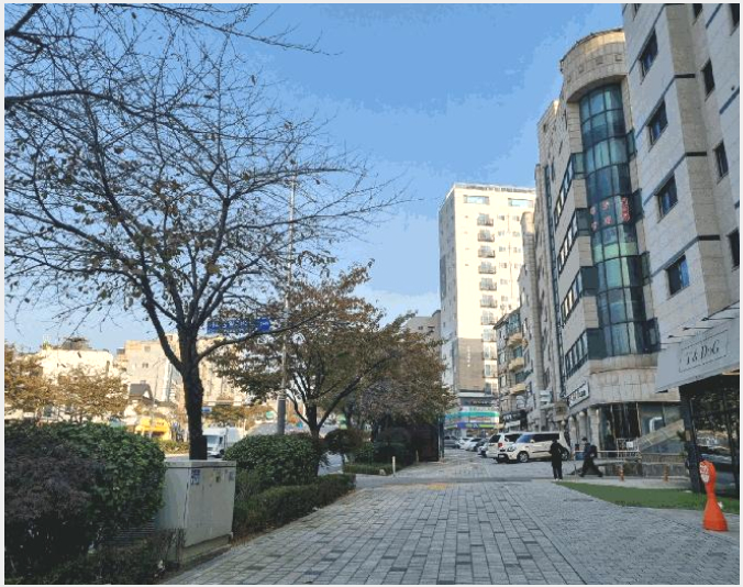 ¿ÀÇǽºÅÚ »çÁø1 | °¼±¸ Ȱ 367-1 | 2025Ÿ°æ12895 | ¿ÀÇǽºÅÚ°æ¸Å