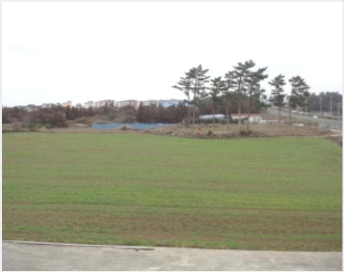 ÅäÁö(Àü) »çÁø1 | Á¦Áֽà Á¶ÃµÀ¾ ÇÔ´ö¸® | 2023Ÿ°æ721 | ÅäÁö(Àü)°æ¸Å