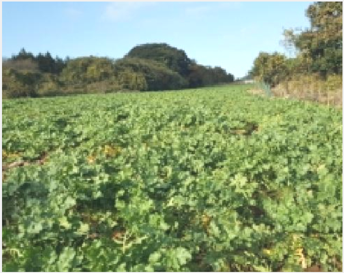 ÅäÁö(Àü) »çÁø1 | Á¦Áֽà ±¸ÁÂÀ¾ ¼Û´ç¸® | 2025Ÿ°æ9003 | ÅäÁö(Àü)°æ¸Å