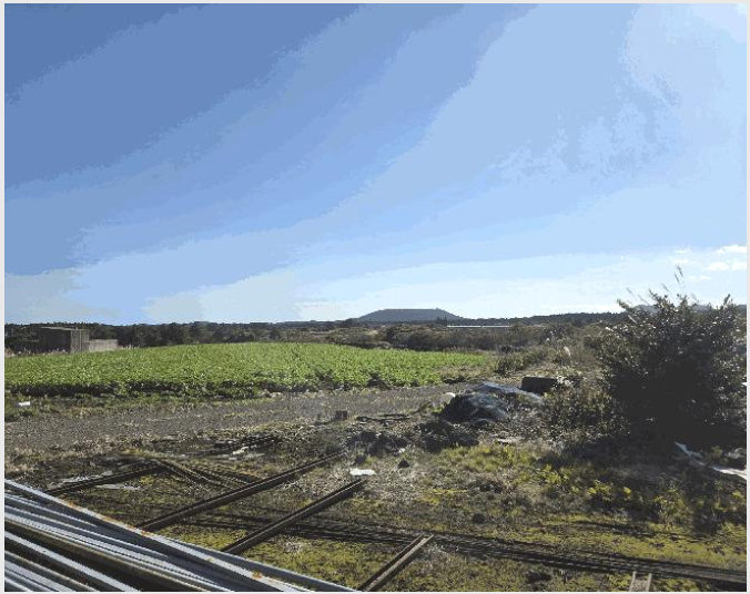 ÅäÁö(Àü) »çÁø1 | Á¦Áֽà ±¸ÁÂÀ¾ ¼Û´ç¸® | 2025Ÿ°æ9003 | ÅäÁö(Àü)°æ¸Å