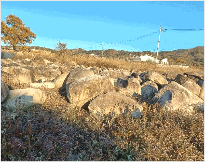 ÅäÁö(´ä) »çÁø1 | °æÁֽà °µ¿¸é ¾È°è¸® | 2025Ÿ°æ587 | ÅäÁö(´ä)°æ¸Å