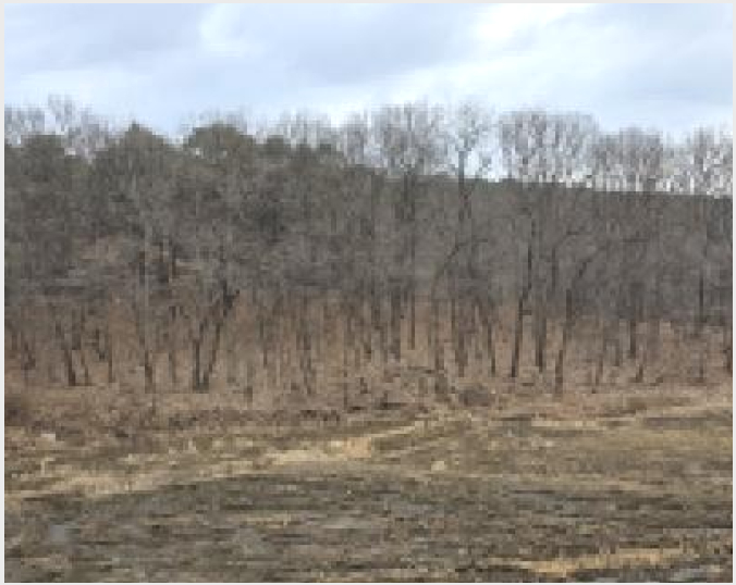 »ó°¡,»ç¹«½Ç »çÁø1 | ÆÄÁֽà ¹®»êÀ¾ ¹®»ê¸® | 2025Ÿ°æ64725 | »ó°¡,»ç¹«½Ç°æ¸Å