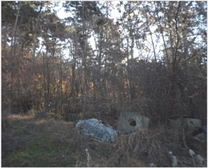ÅäÁö(ÀÓ¾ß) »çÁø1 | â³ç±º â³çÀ¾ ¸»È긮 | 2024Ÿ°æ3089 | ÅäÁö(ÀÓ¾ß)°æ¸Å