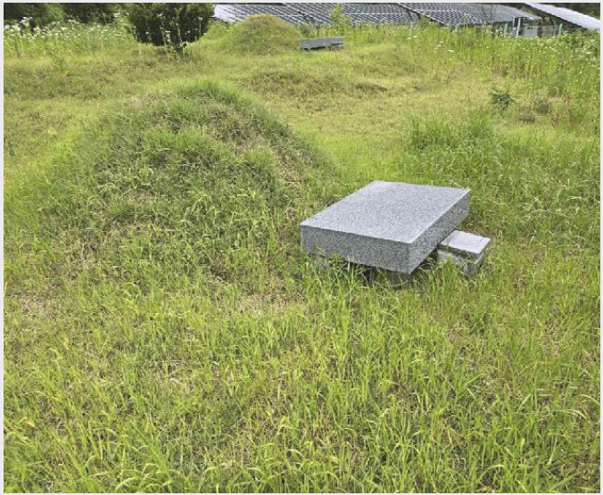 ÅäÁö(Àü) »çÁø1 | ÀÎÁ¦±º ¼È¸é ¼È︮ | 2025Ÿ°æ50730 | ÅäÁö(Àü)°æ¸Å