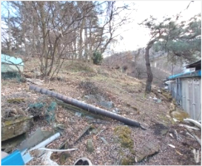 ÅäÁö(ÀÓ¾ß) »çÁø1 | °øÁֽà ¹ÝÆ÷¸é ºÀ°î¸® | 2024Ÿ°æ22193 | ÅäÁö(ÀÓ¾ß)°æ¸Å