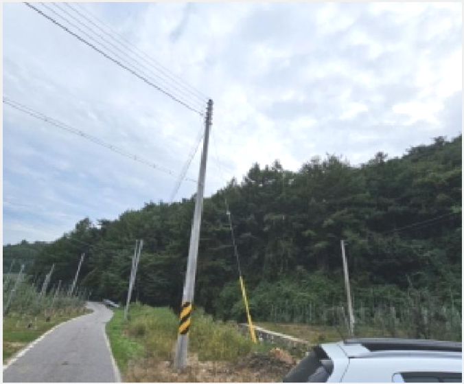 ÅäÁö(ÀÓ¾ß) »çÁø1 | ºÀȱº Ãá¾ç¸é ¼º®¸® | 2025Ÿ°æ11054 | ÅäÁö(ÀÓ¾ß)°æ¸Å