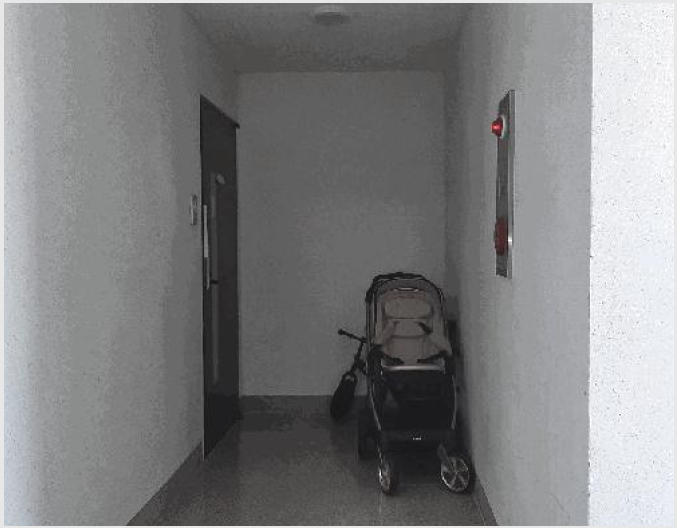 ´Ù¼¼´ë,ºô¶ó »çÁø1 | À强±º »ï°è¸é Áֻ긮 | 2025Ÿ°æ32825 | ´Ù¼¼´ë,ºô¶ó°æ¸Å