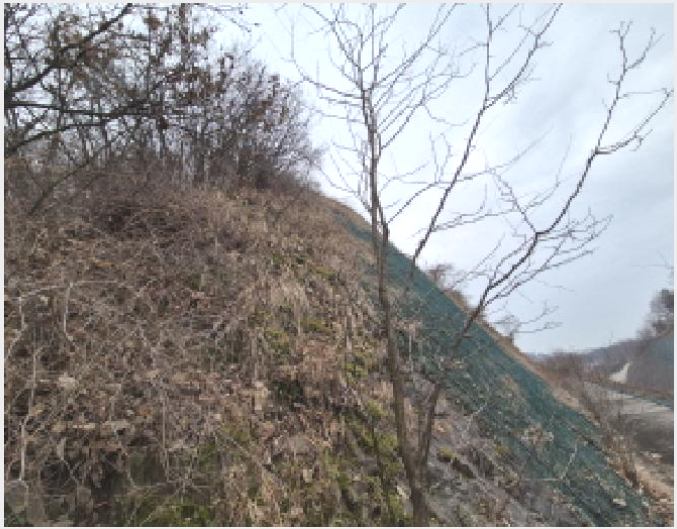 ÅäÁö(ÀÓ¾ß) »çÁø1 | À屺¸é »êÇи® »ê2-5 | 2025Ÿ°æ4006 | ÅäÁö(ÀÓ¾ß)°æ¸Å