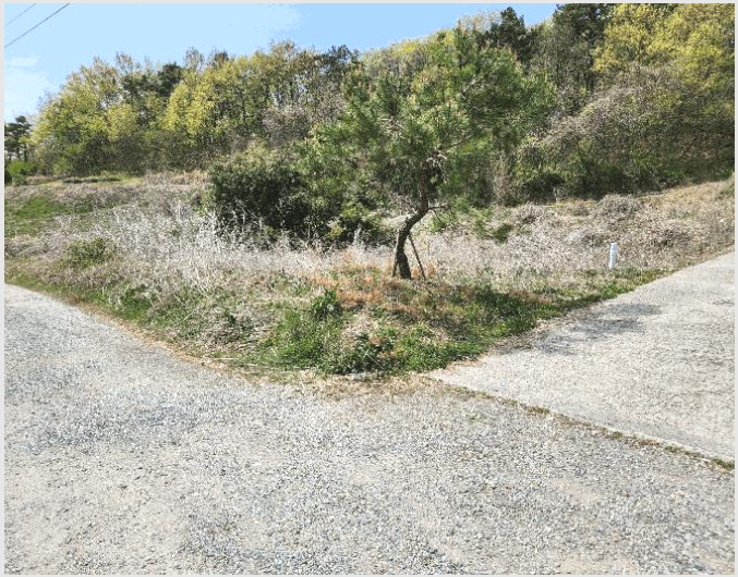 ÅäÁö(Àü) »çÁø1 | â³ç±º ¿µ»ê¸é ºÀ¾Ï¸® | 2024Ÿ°æ13277 | ÅäÁö(Àü)°æ¸Å