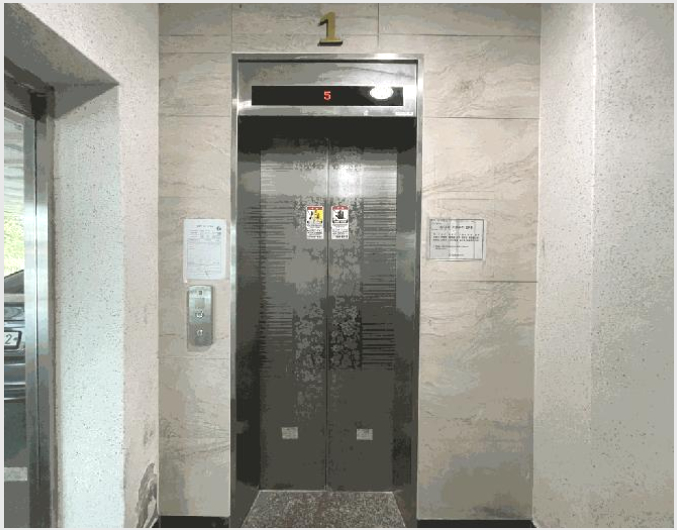 ´Ù¼¼´ë,ºô¶ó »çÁø1 | ÆÄÁֽà ¹®»êÀ¾ ¼±À¯¸® | 2025Ÿ°æ6192 | ´Ù¼¼´ë,ºô¶ó°æ¸Å