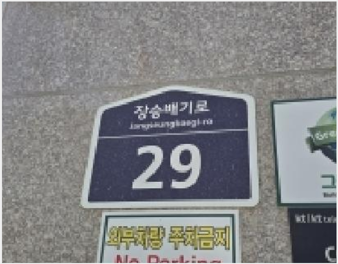 ´Ù¼¼´ë,ºô¶ó »çÁø1 | ÆÄÁֽà ¹®»êÀ¾ ¼±À¯¸® | 2025Ÿ°æ6192 | ´Ù¼¼´ë,ºô¶ó°æ¸Å