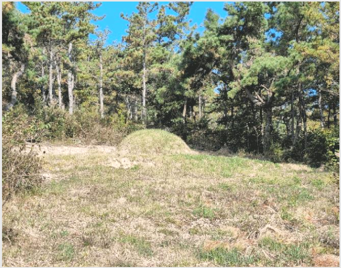 ÅäÁö(ÀÓ¾ß) »çÁø1 | ½Å¾È±º Áõµµ¸é º´Ç³¸® | 2025Ÿ°æ51583 | ÅäÁö(ÀÓ¾ß)°æ¸Å