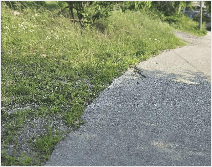 ÅäÁö(Àü) »çÁø1 | Æ÷õ½Ã ±º³»¸é ÇϼººÏ¸® | 2025Ÿ°æ2159 | ÅäÁö(Àü)°æ¸Å