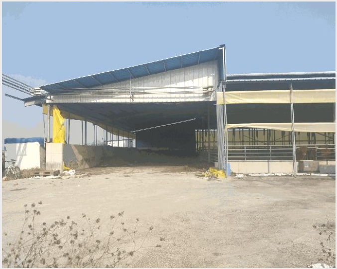 Ãà»ç(³ó°¡½Ã¼³) »çÁø1 | °íⱺ ºÎ¾È¸é ¼ö¾Ó¸® | 2025Ÿ°æ30506 | Ãà»ç(³ó°¡½Ã¼³)°æ¸Å
