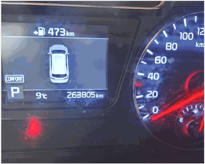 Â÷·® »çÁø1 | ¾È³ç±æ 95-20, ¿ì¸®¹°·ù | 2026Ÿ°æ50496 | Â÷·®°æ¸Å