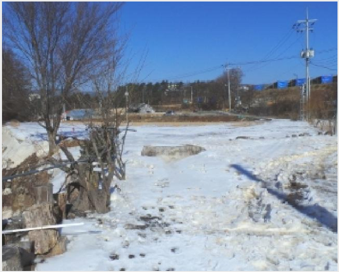 ÅäÁö(ÀÓ¾ß) »çÁø1 | Æòⱺ ´ë°ü·É¸é Ⱦ°è¸® | 2025Ÿ°æ30241 | ÅäÁö(ÀÓ¾ß)°æ¸Å