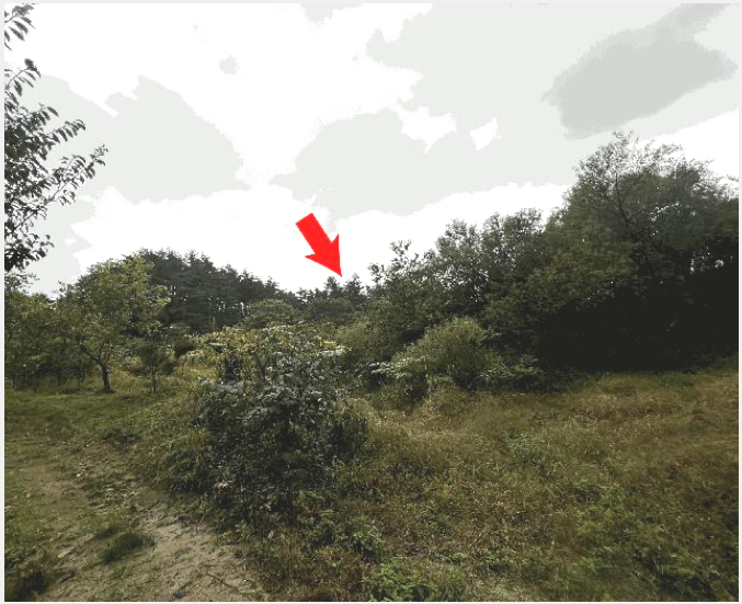 ÅäÁö(Àü) »çÁø1 | °í¼º±º °£¼ºÀ¾ »ó¸® | 2025Ÿ°æ10356 | ÅäÁö(Àü)°æ¸Å