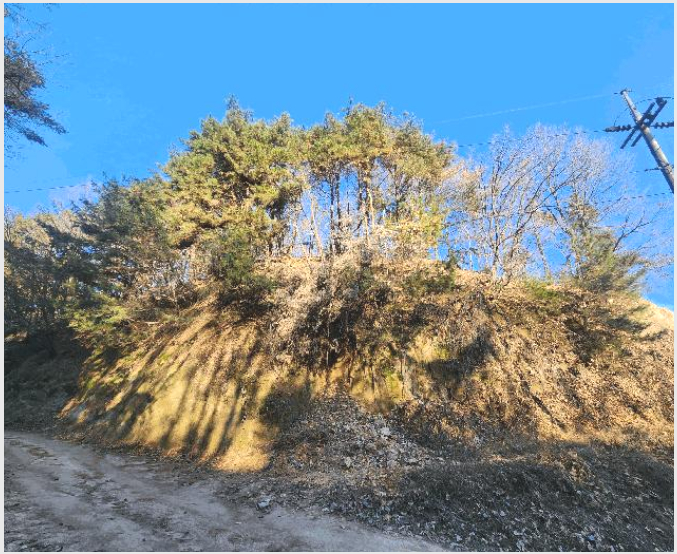ÅäÁö(Àü) »çÁø1 | Æ÷õ½Ã °üÀÎ¸é »çÁ¤¸® | 2025Ÿ°æ73622 | ÅäÁö(Àü)°æ¸Å