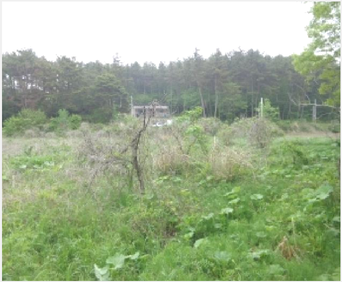 ÅäÁö(´ä) »çÁø1 | žȱº ¼Ò¿ø¸é ¿µÀü¸® | 2025Ÿ°æ647 | ÅäÁö(´ä)°æ¸Å