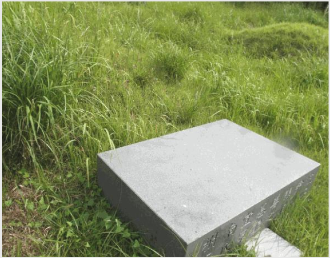 ÅäÁö(Àü) »çÁø1 | ºÎ¿©±º ÃÊÃÌ¸é ¼Û±¹¸® | 2025Ÿ°æ477 | ÅäÁö(Àü)°æ¸Å