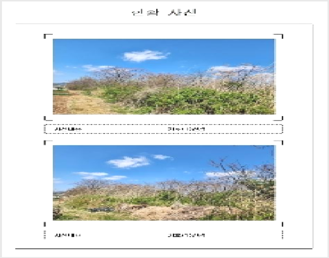 ÅäÁö(°ú¼ö¿ø) »çÁø1 | ¿µ¾Ï±º ¿µ¾ÏÀ¾ ¿ª¸® | 2025Ÿ°æ51007 | ÅäÁö(°ú¼ö¿ø)°æ¸Å