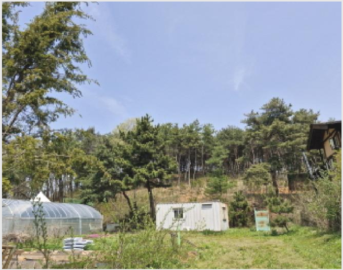 ÅäÁö(ÀÓ¾ß) »çÁø1 | ¾È»ê½Ã ´Ü¿ø±¸ ´ëºÎ³²µ¿ | 2025Ÿ°æ52156 | ÅäÁö(ÀÓ¾ß)°æ¸Å