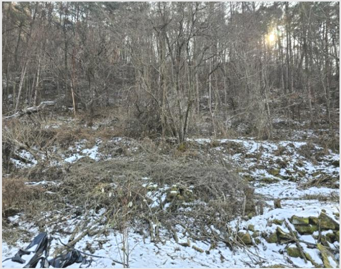 ÅäÁö(´ëÁö) »çÁø1 | Æòⱺ ¹Ìź¸é ¸¶Çϸ® | 2023Ÿ°æ13167 | ÅäÁö(´ëÁö)°æ¸Å