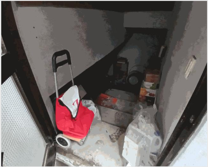 ´Üµ¶ÁÖÅà »çÁø1 | ¼ö¿ø½Ã Àå¾È±¸ Á¶¿øµ¿ | 2025Ÿ°æ57896 | ´Üµ¶ÁÖÅðæ¸Å