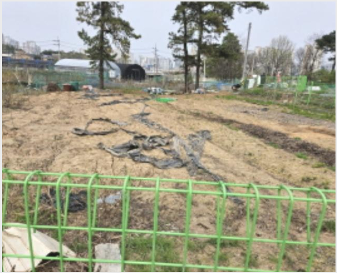 ÅäÁö(Àü) »çÁø1 | ¼ö¿ø½Ã ±Ç¼±±¸ È£¸Å½Çµ¿ | 2024Ÿ°æ58540 | ÅäÁö(Àü)°æ¸Å