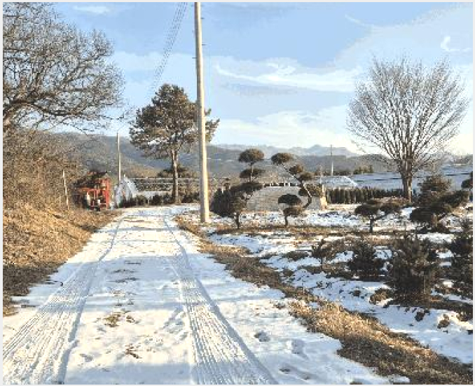 ÅäÁö(Àü) »çÁø1 | Æ÷õ½Ã Àϵ¿¸é »çÁ÷¸® | 2026Ÿ°æ70054 | ÅäÁö(Àü)°æ¸Å