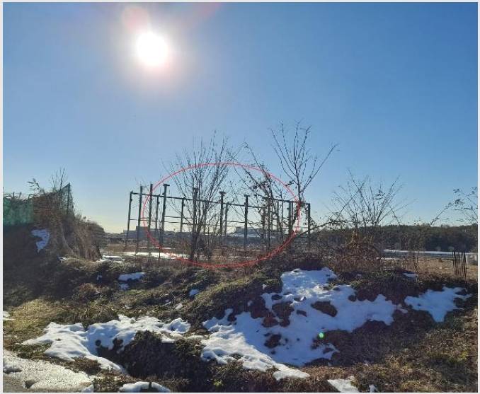 ÅäÁö(Àü) »çÁø1 | ¾È¼º½Ã ¼¿î¸é Çö¸Å¸® | 2024Ÿ°æ5071 | ÅäÁö(Àü)°æ¸Å