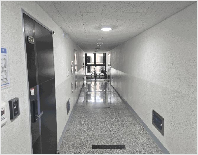 ¿ÀÇǽºÅÚ »çÁø1 | µ¿±¸ Àε¿ 77-6 | 2025Ÿ°æ502898 | ¿ÀÇǽºÅÚ°æ¸Å