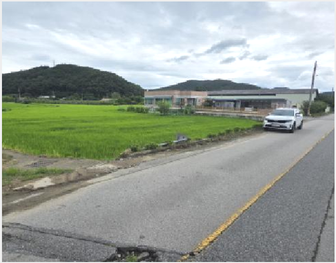 ÅäÁö(´ä) »çÁø1 | ±¸¹Ì½Ã Àåõ¸é ½ÅÀ帮 | 2025Ÿ°æ11233 | ÅäÁö(´ä)°æ¸Å