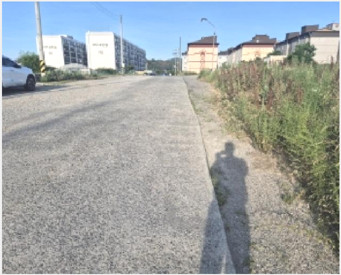 ÅäÁö(Àü) »çÁø1 | Æ÷Ç׽à ³²±¸ µ¿Çظé | 2025Ÿ°æ410 | ÅäÁö(Àü)°æ¸Å