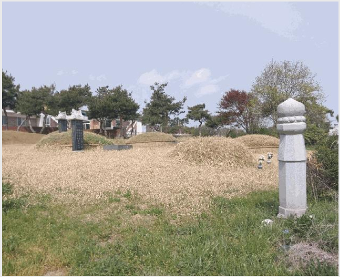 ÅäÁö(Àü) »çÁø1 | °íⱺ ´ë»ê¸é Á߻긮 | 2025Ÿ°æ30229 | ÅäÁö(Àü)°æ¸Å